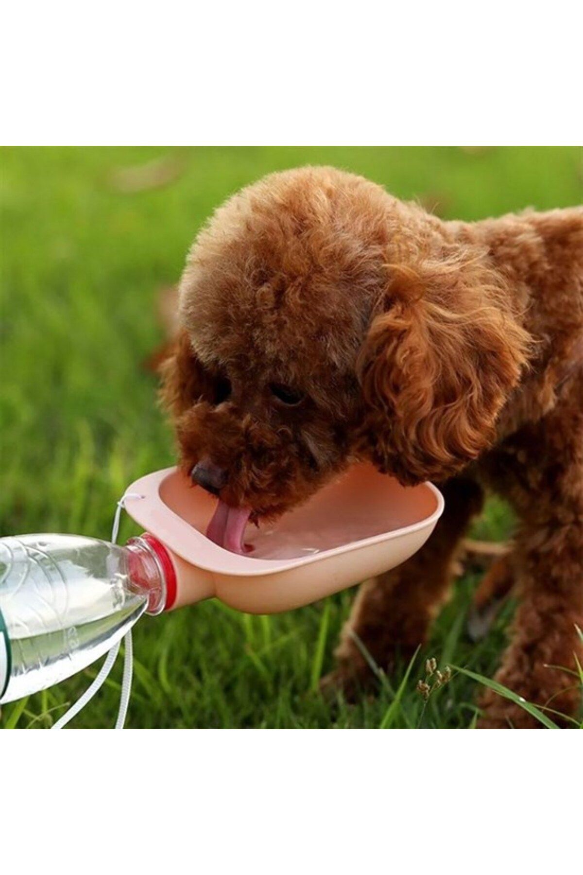 contorium Evcil Hayvan Plastik Yıkanabilir Taşınabilir Su Şişesi Bağlantılı Su Kabı (LİSİNYA)