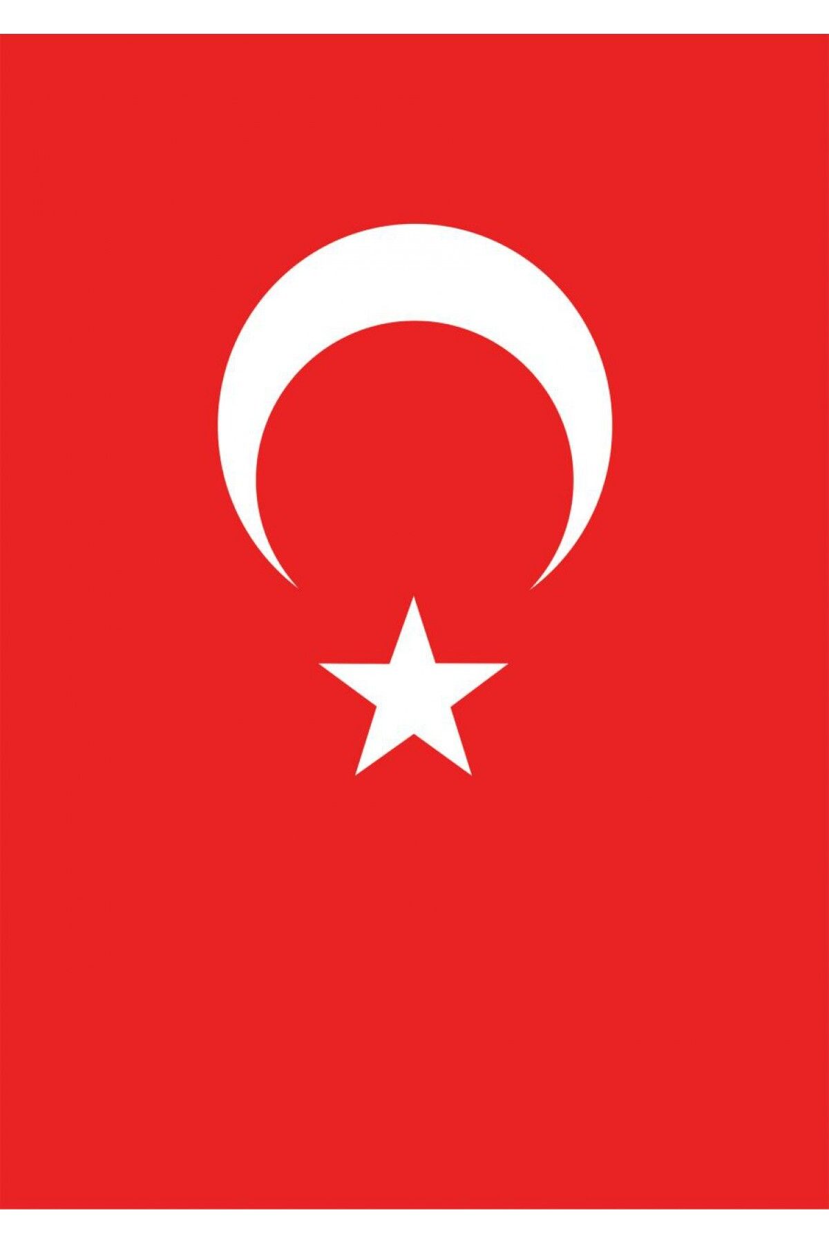 Vatan Bayrak Vatan Türk Bayrağı 100 X 150 Cm