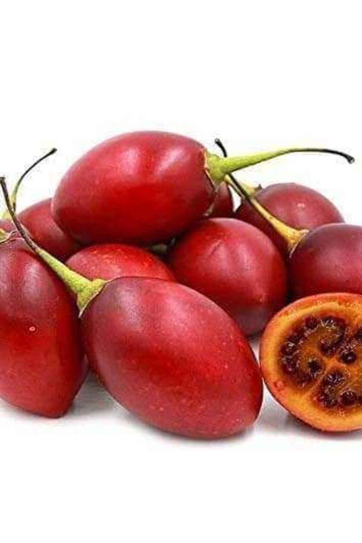 Genel Markalar Domates Ağacı Tamarillo Meyvesi Fidanı
