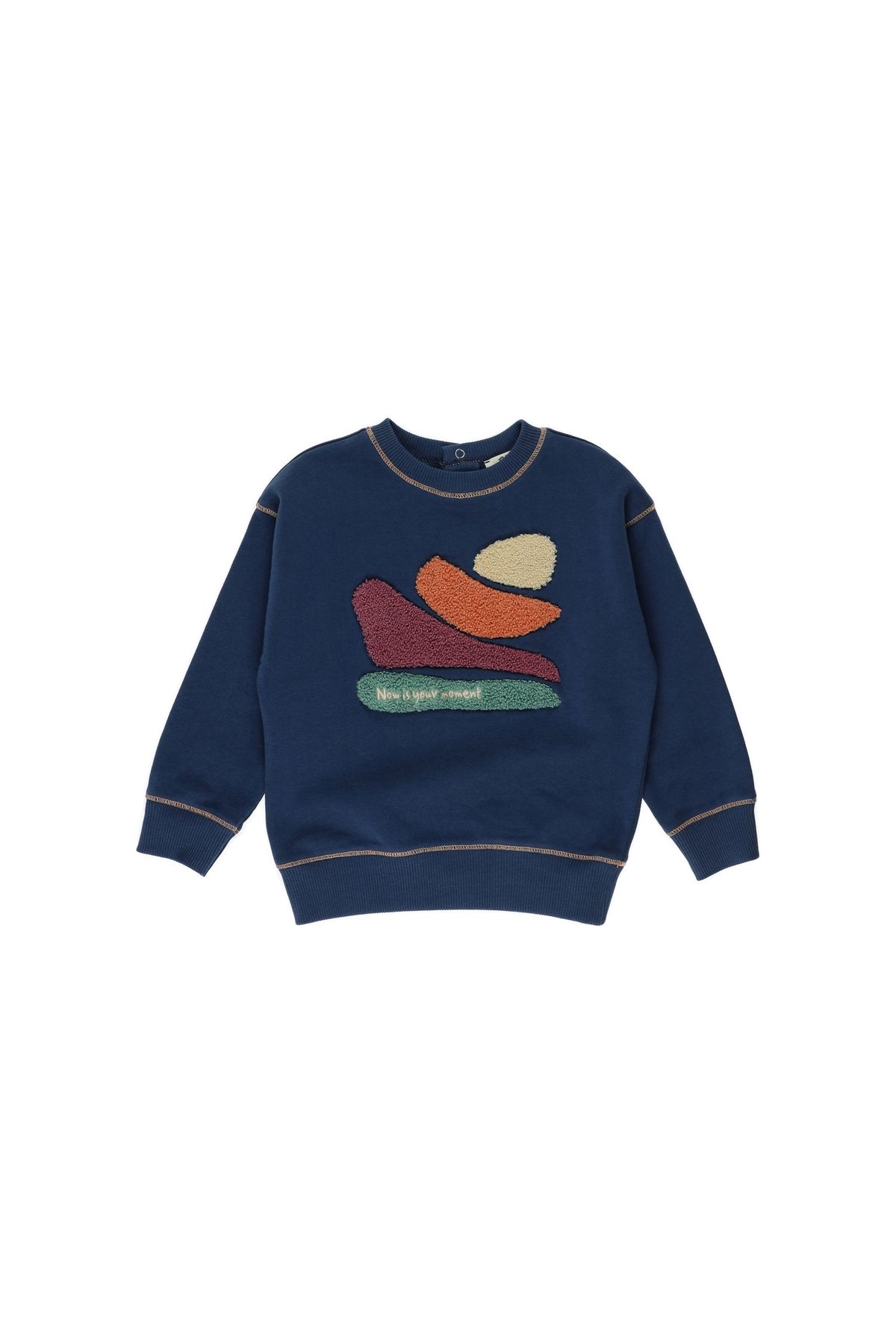 Panço Erkek Bebek Nakışlı Sweatshirt