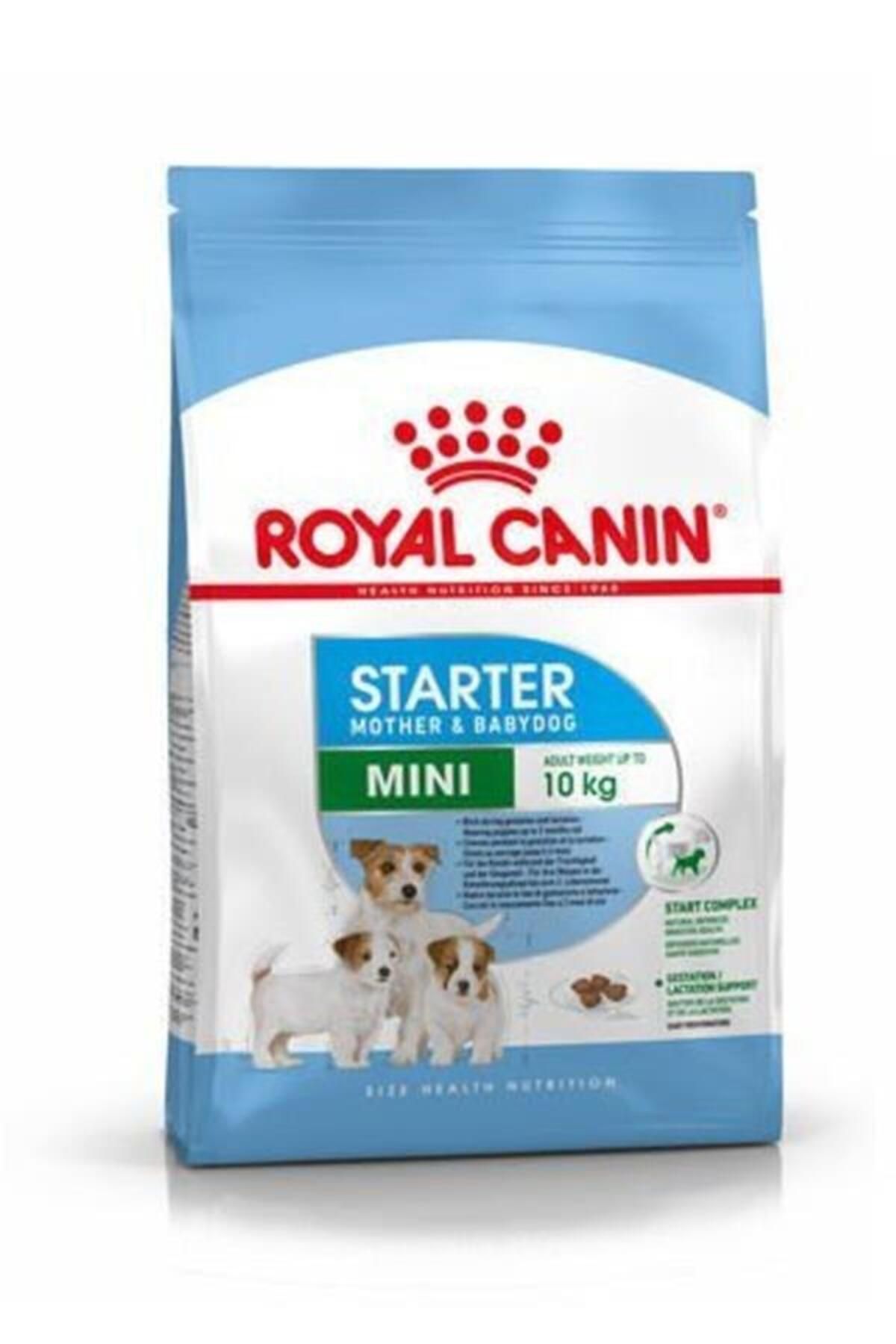 Royal Canin Dog Mini Starter Mother/babydog Köpek Maması 3 Kg