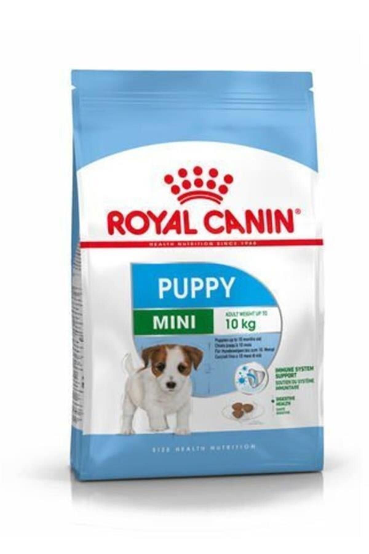 Royal Canin Dog Shn Mini Puppy Köpek Maması 2 Kg