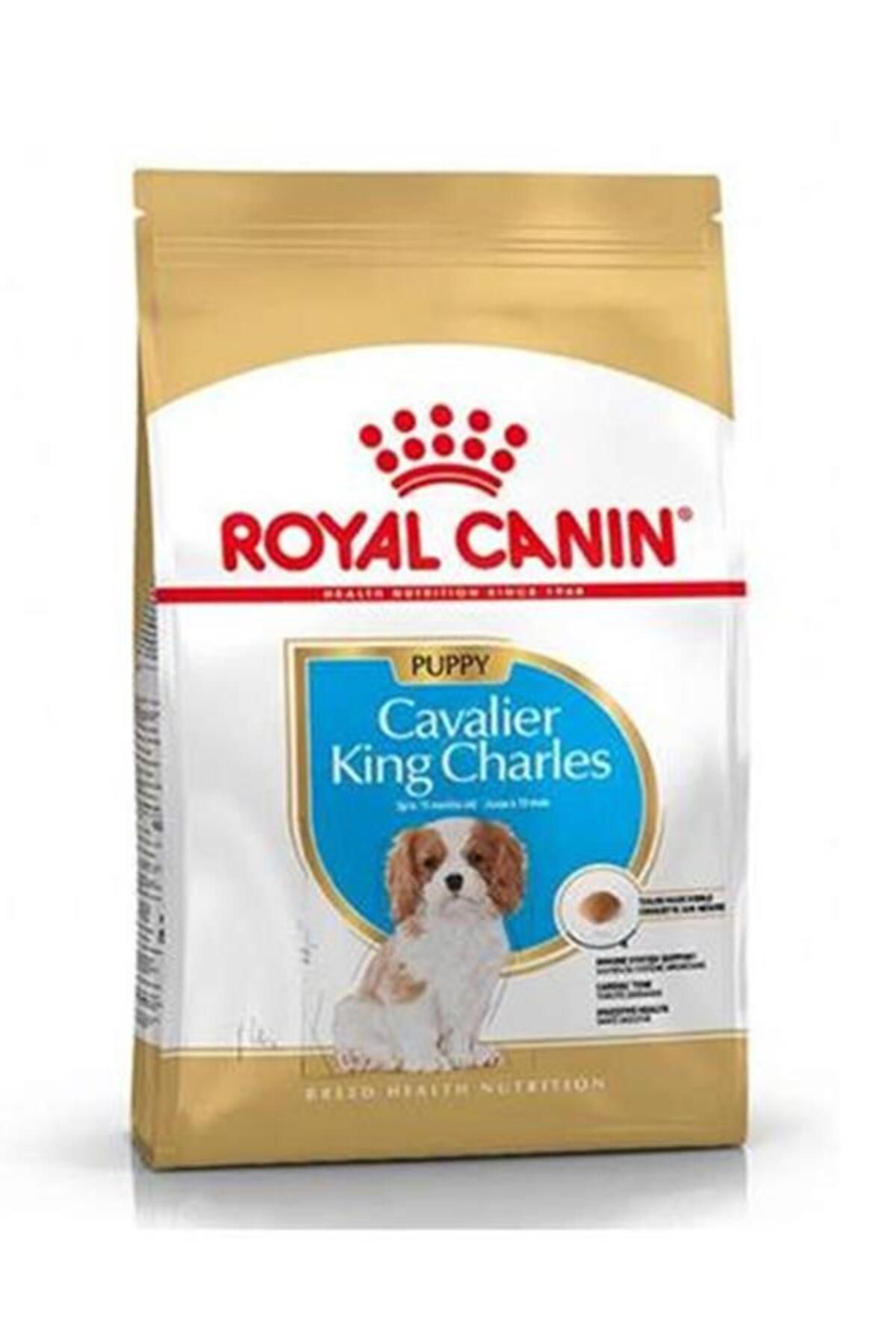Royal Canin Dog Bhn Cavalier King Yavru Köpek Maması 1,5 Kg