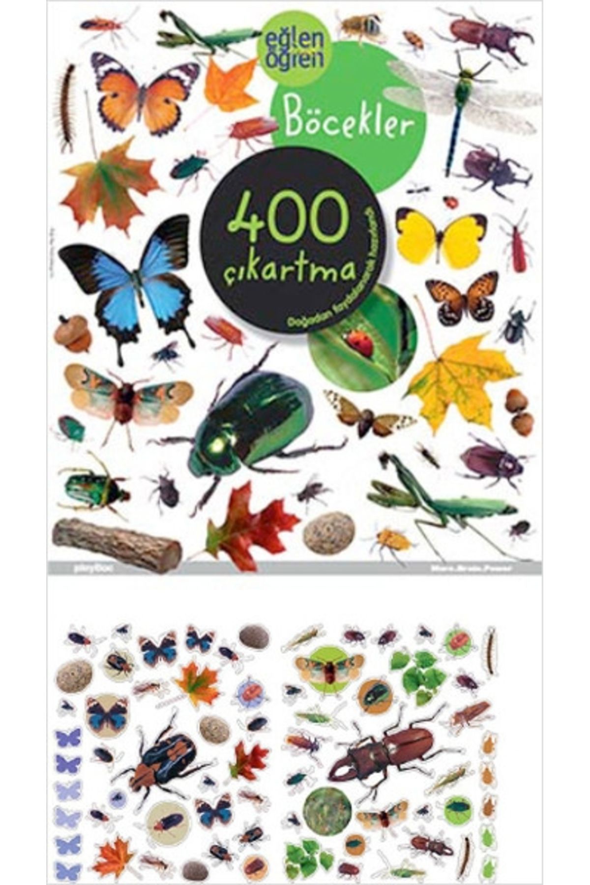 Genel Markalar Eğlen Öğren - Böcekler 400 Çıkartma