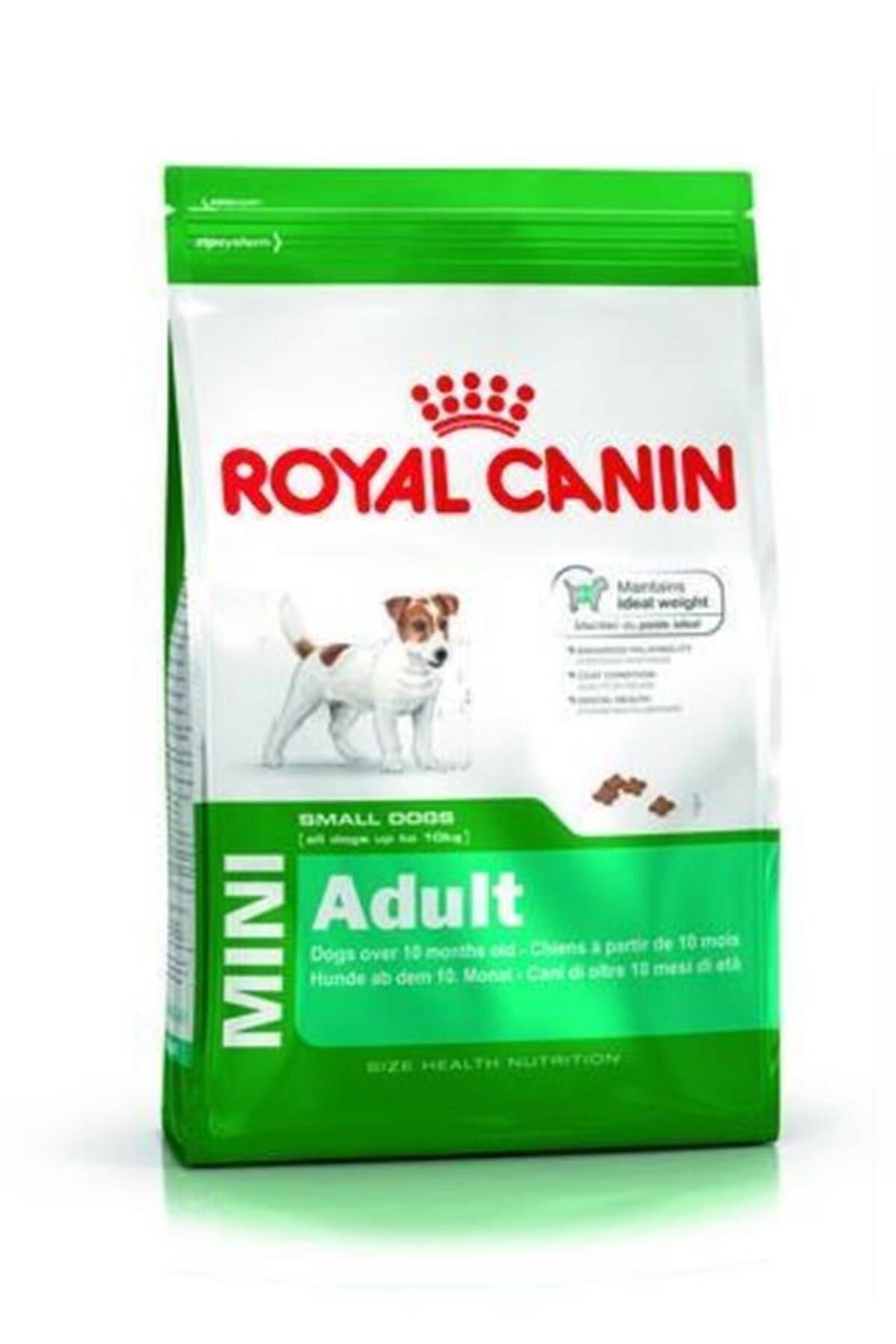 Royal Canin Dog Shn Mini Adult Köpek Maması 4 Kg