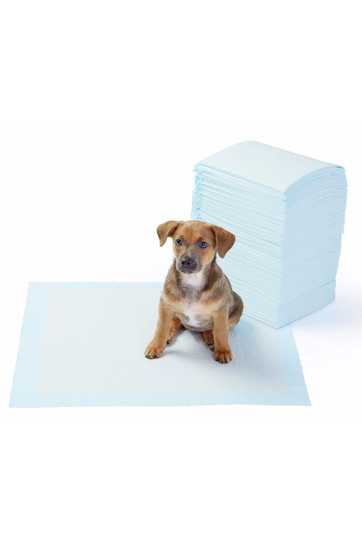 Evcil Hayvan Kedi Köpek Için Yıkanabilir Çiş Pedi - 100 X 100 Cm 5li Paket_2