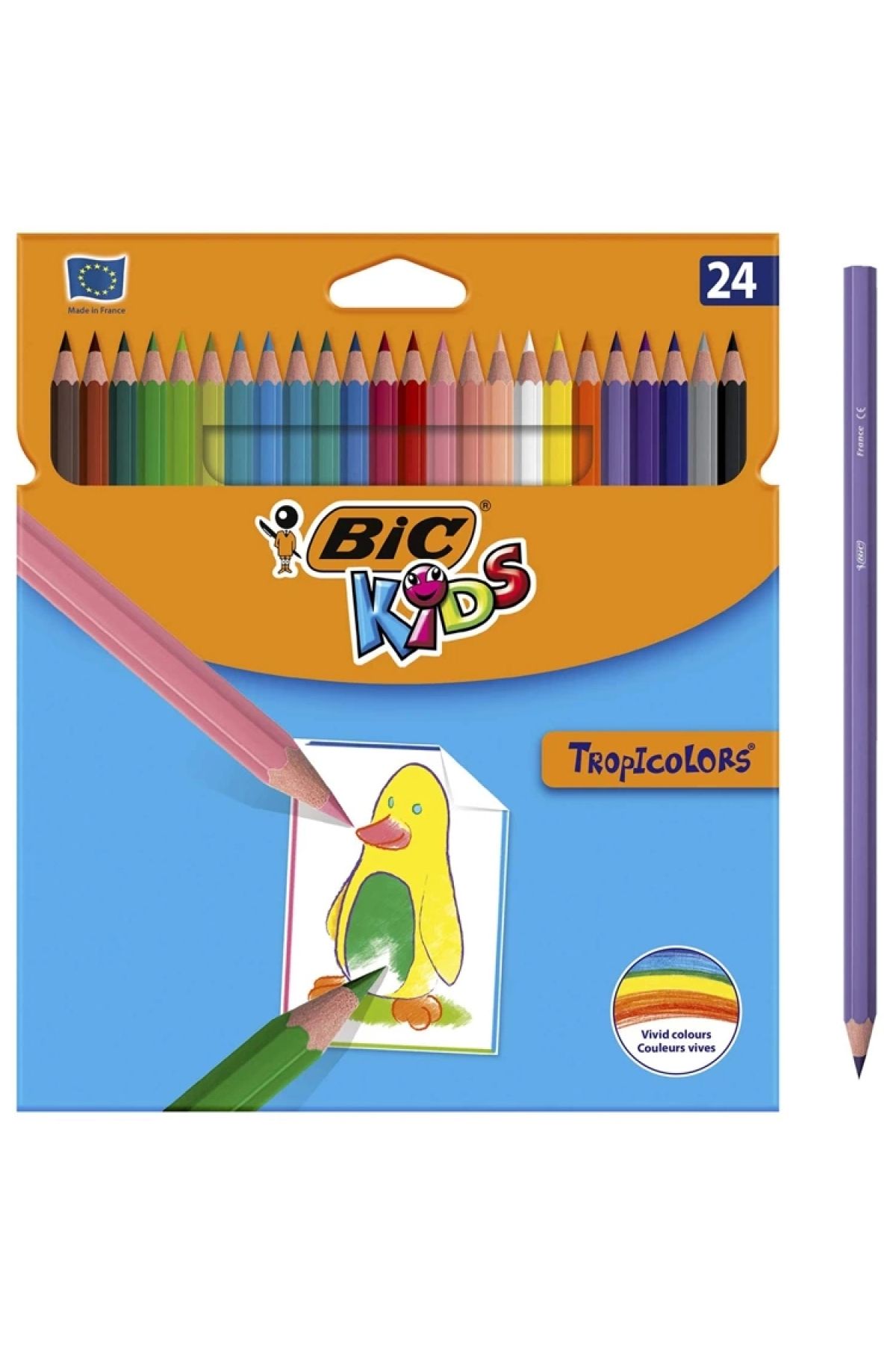 Bic 24'lü Kuru Boya