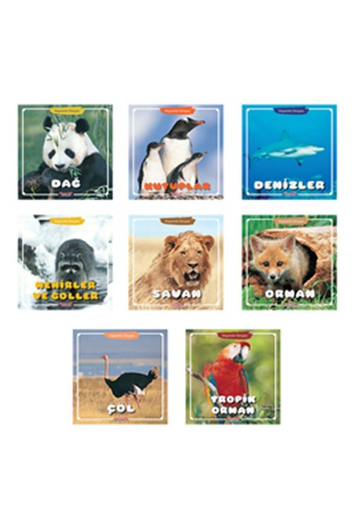 Astra Market Hayvanlar Dünyası 8 Kitap