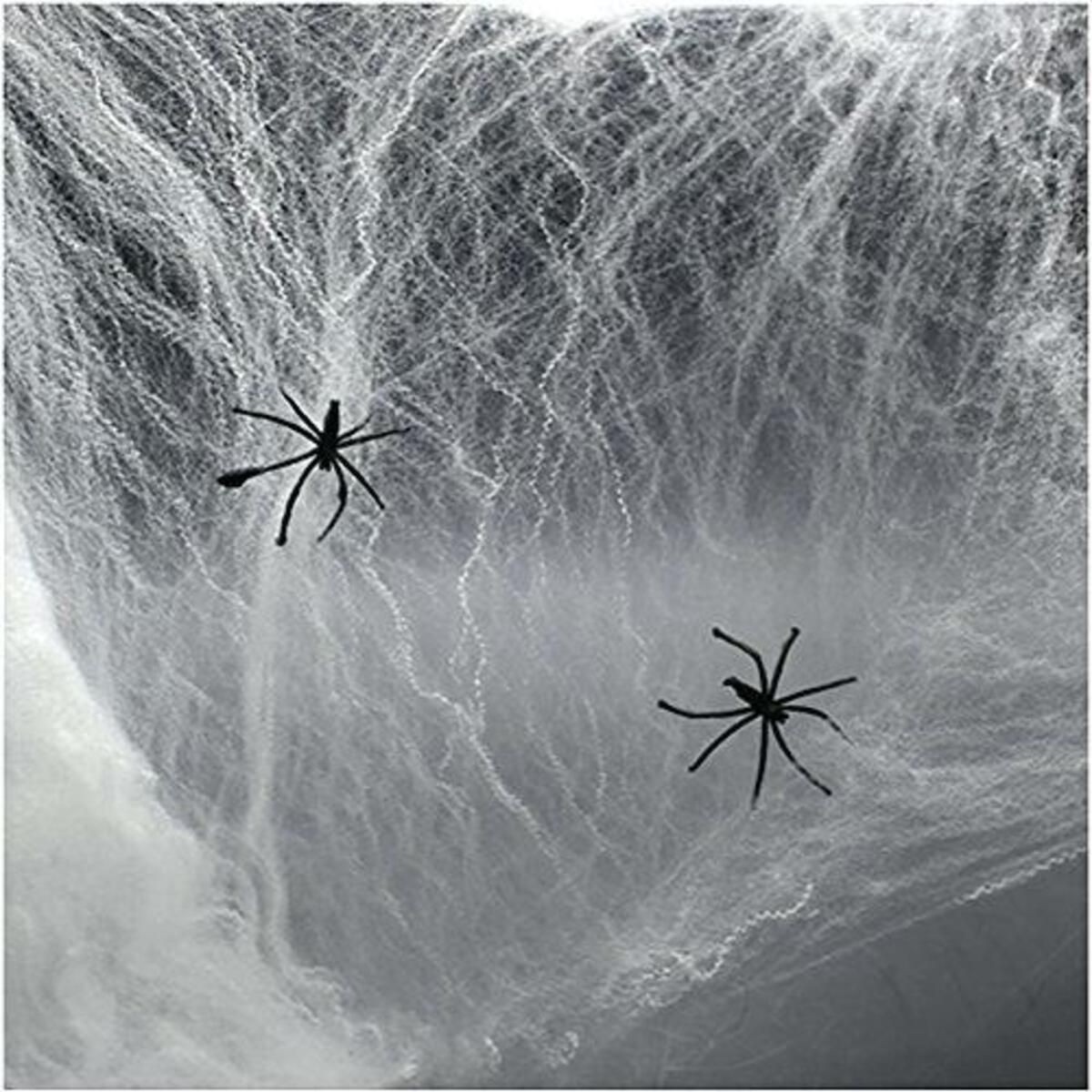 Genel Markalar Beyaz Renk Örümcek Ağ Ve Siyah Örümcekler Seti 60 Gr