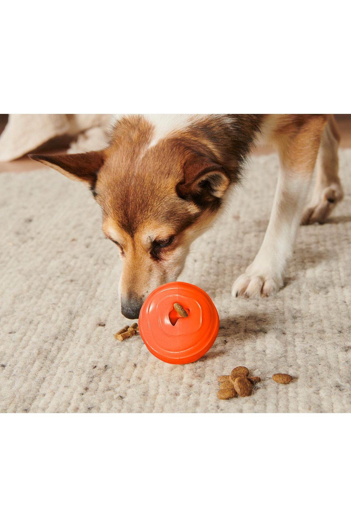 Tchibo Köpek Oyuncağı »Snackball«