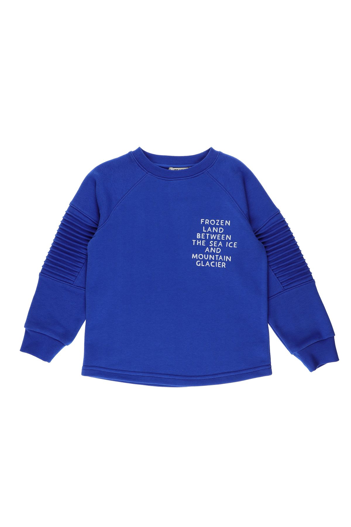 Panço Erkek Çocuk Baskı Detaylı Sweatshirt