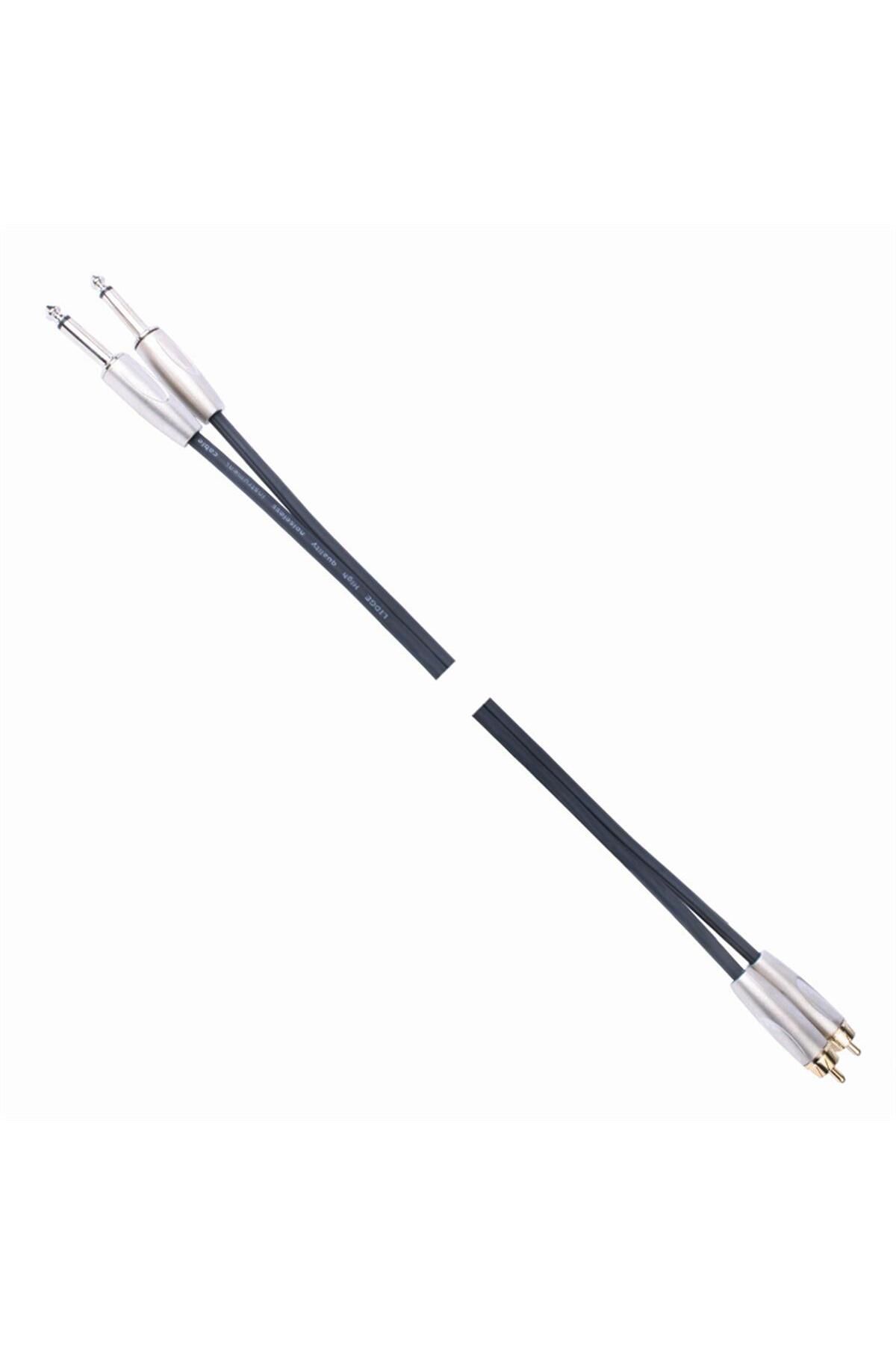 Powermaster Magicvoice Ld398 2x6.3 Mm Mono Erkek 2xrca Erkek 5 Metre Kablo