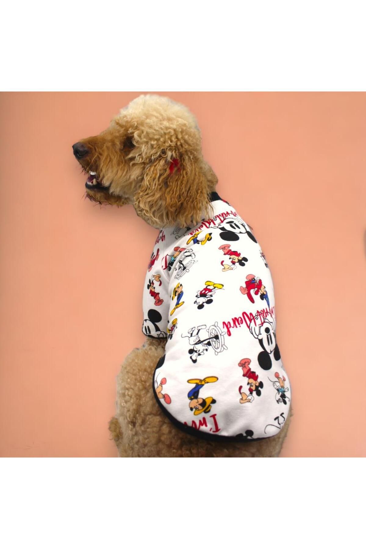 Pettrend Mickey Sweat Kedi Köpek Sweeti-Kedi Köpek Kıyafeti