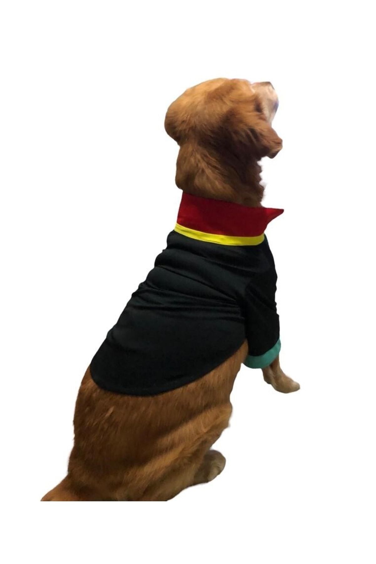 Sosyal Patiler Avukat Cübbesi Köpek Kıyafeti