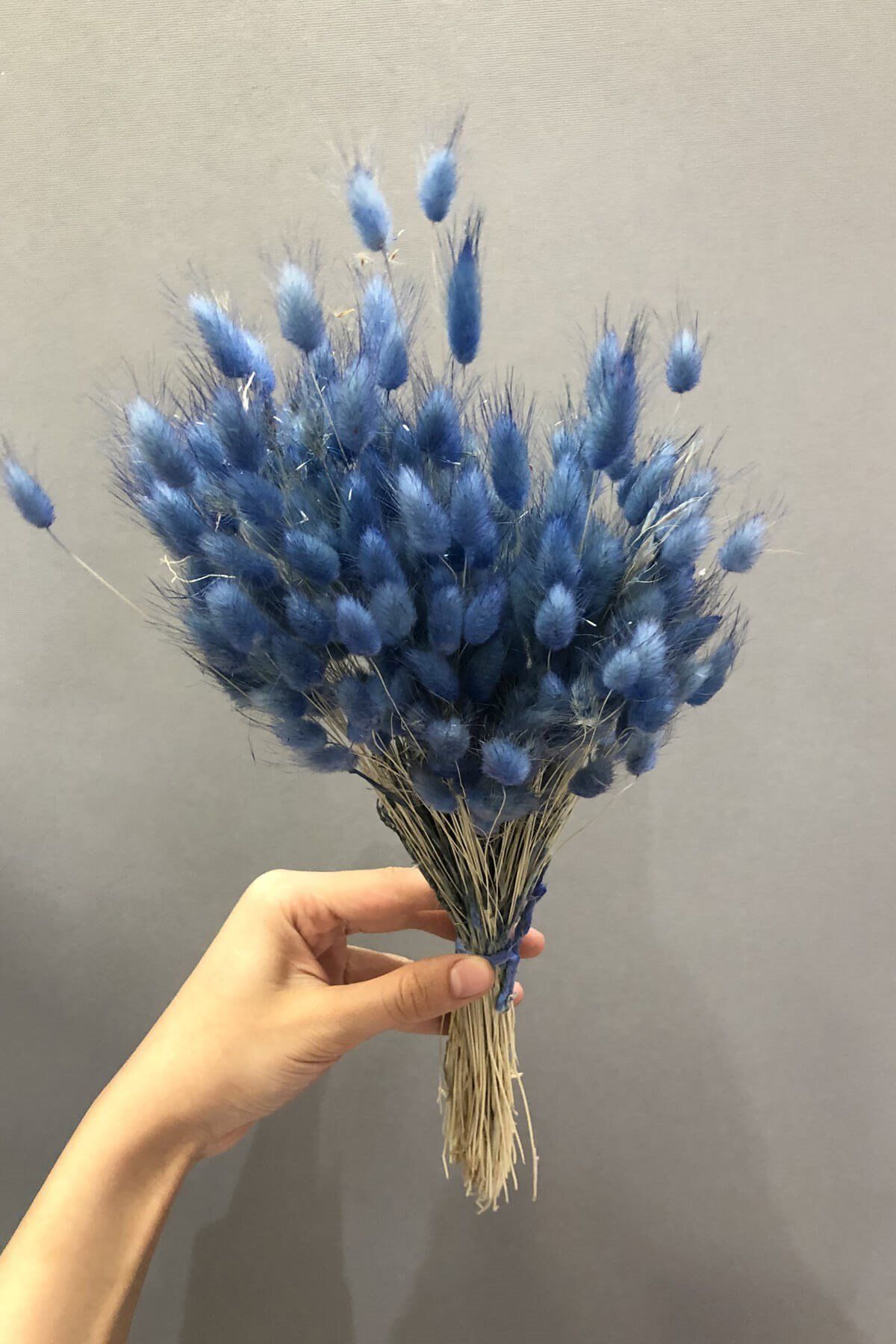 Hayalperest boncuk Mavi Pamuk Otu Kurutulmuş Çiçek