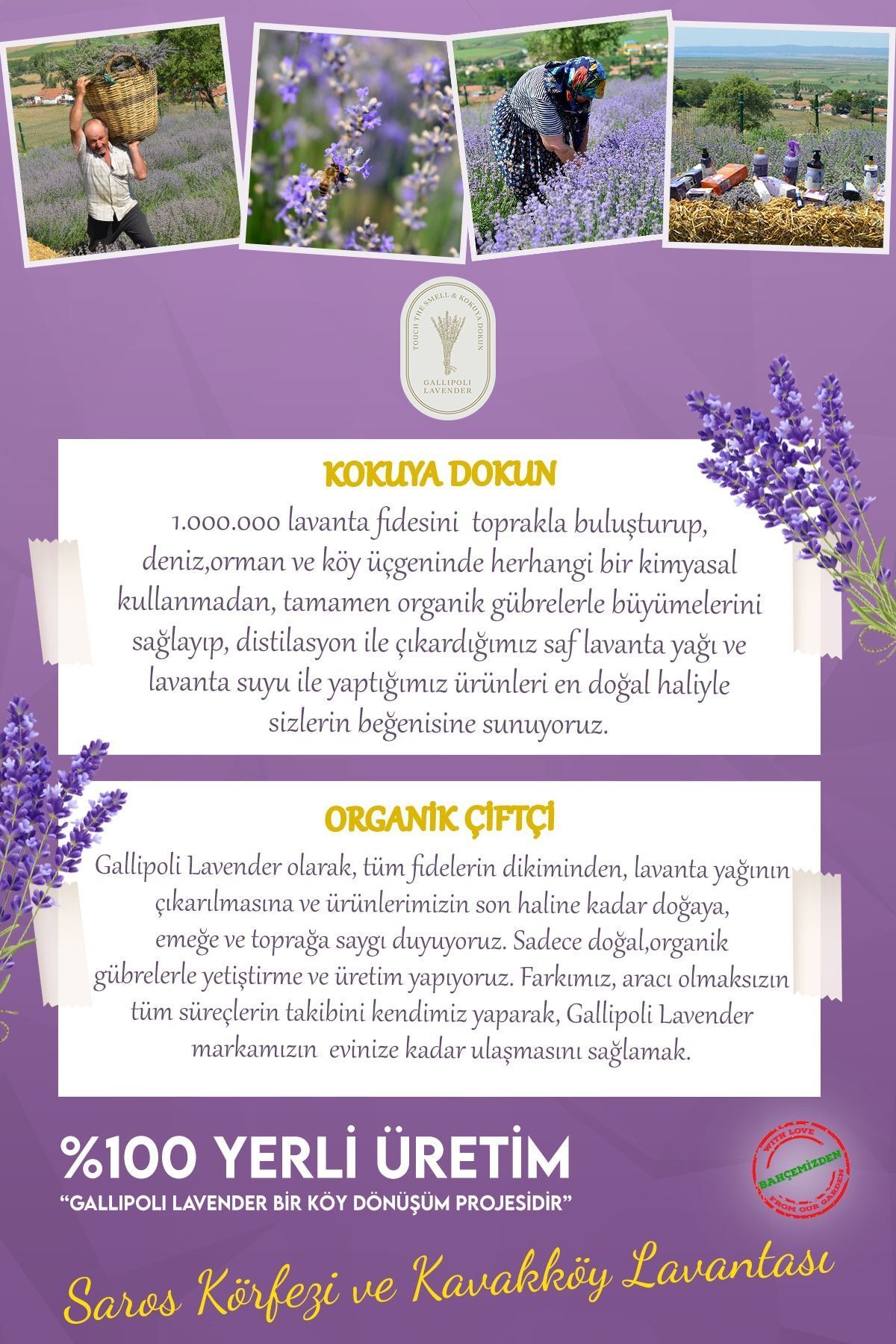 Gallipoli Lavender Doğal Bitkisel Lavanta Sabunu 100 gr 5 Adet