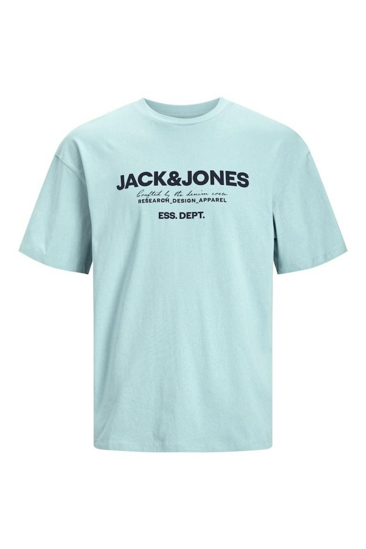 Jack & Jones Jack Jones Gale Erkek Tişört 12247782