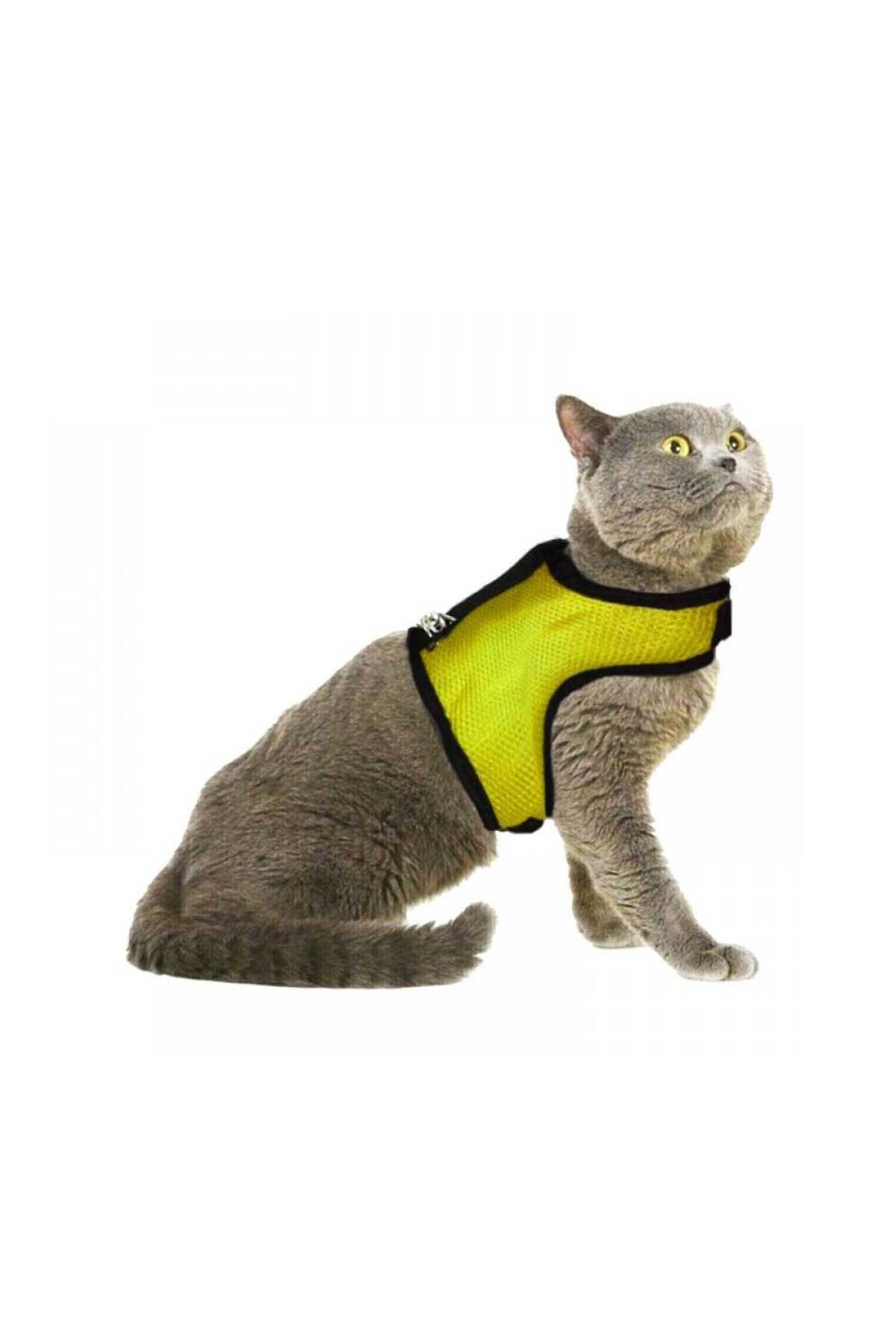 Skygo Air Fila Kedi Bel Tasması Sarı