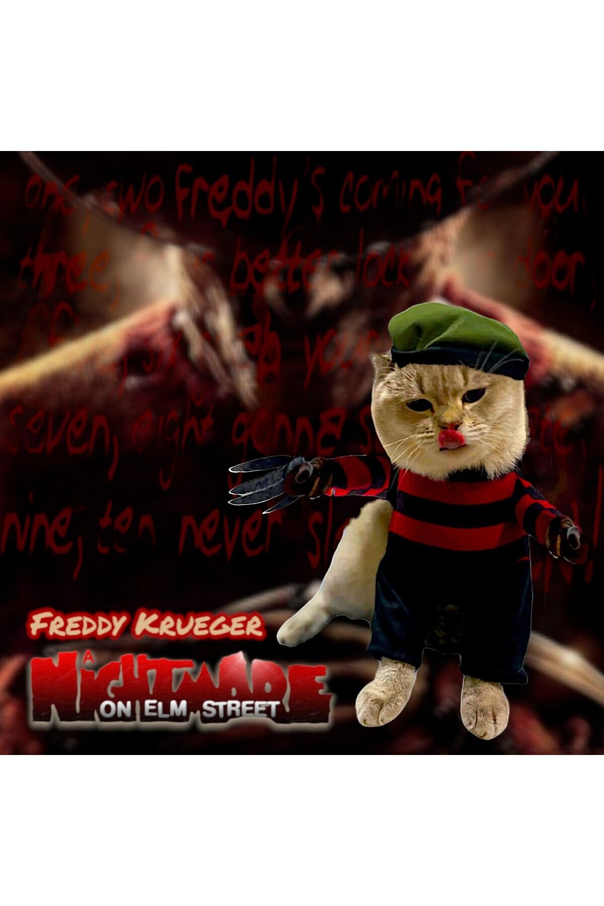 Sosyal Patiler Freddy Krueger Köpek Kostümü Elm Sokağı Kabusu