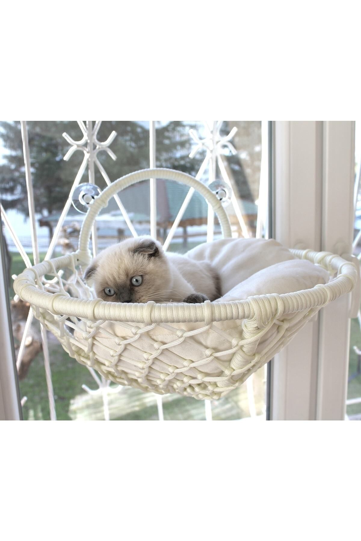 lüxperi Kedi Cam Yatağı & Vantuzlu Cam Yatağı & Kedi Pencere Yatağı