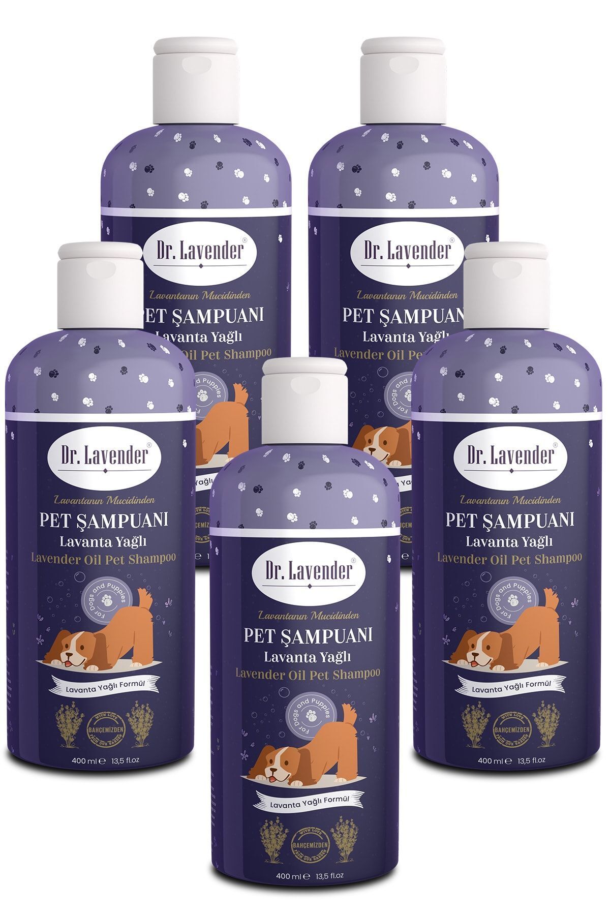 Gallipoli Lavender Lavanta Yağlı Köpek Şampuanı 400 ml Antiseptik Pet Şampuan 5 Adet