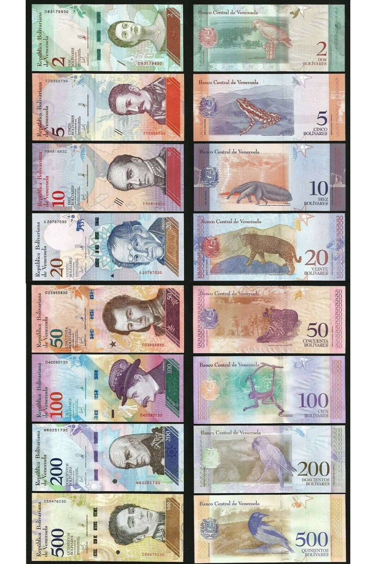 Benim Koleksiyonum Venezuela Eski Kağıt Para Seti (2-5-10-20-50-100-200-500 Bolivar, 2018)