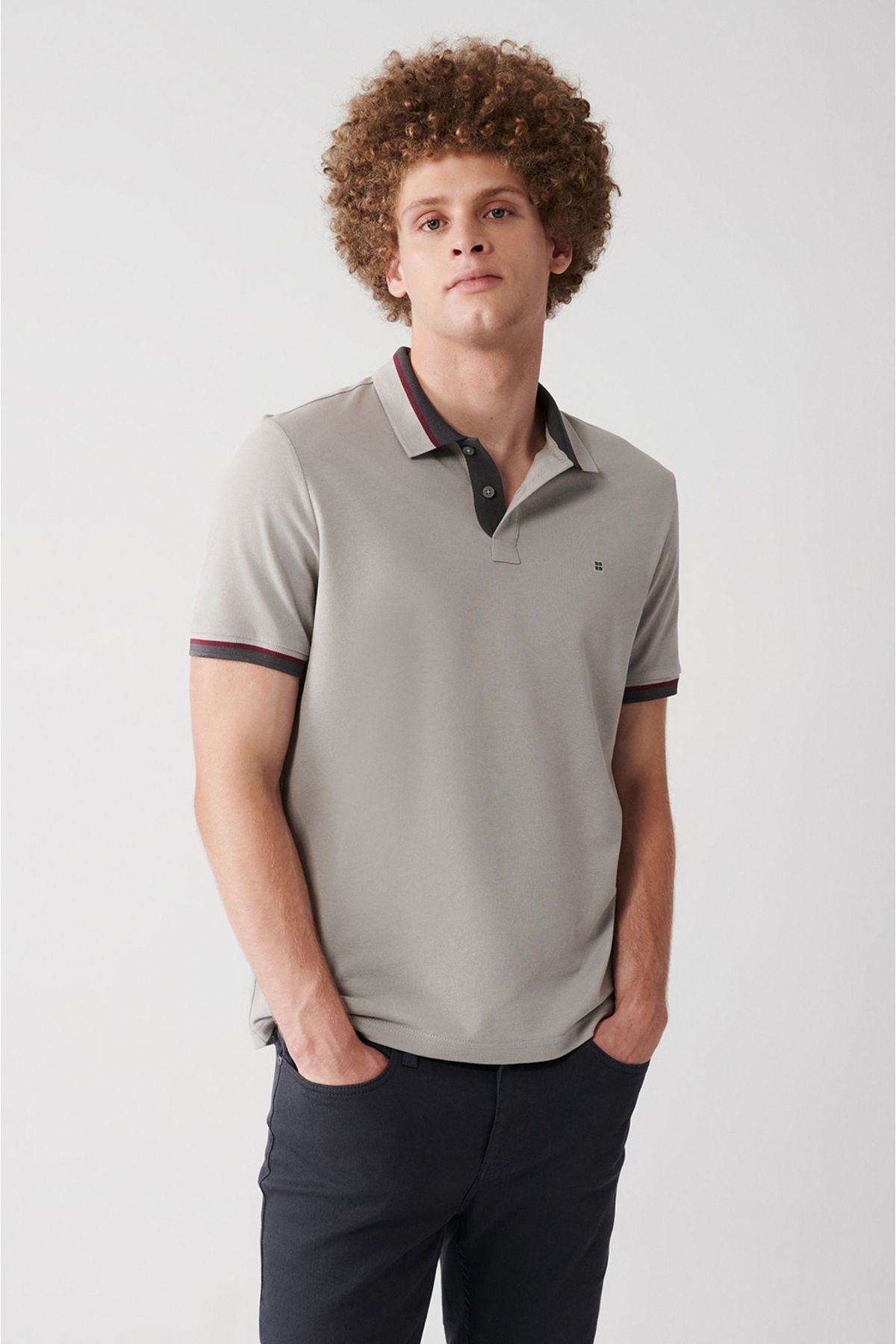 Avva Erkek Taş Yakası Çizgili %100 Pamuk Regular Fit 2 Düğmeli Polo Yaka T-shirt E001036