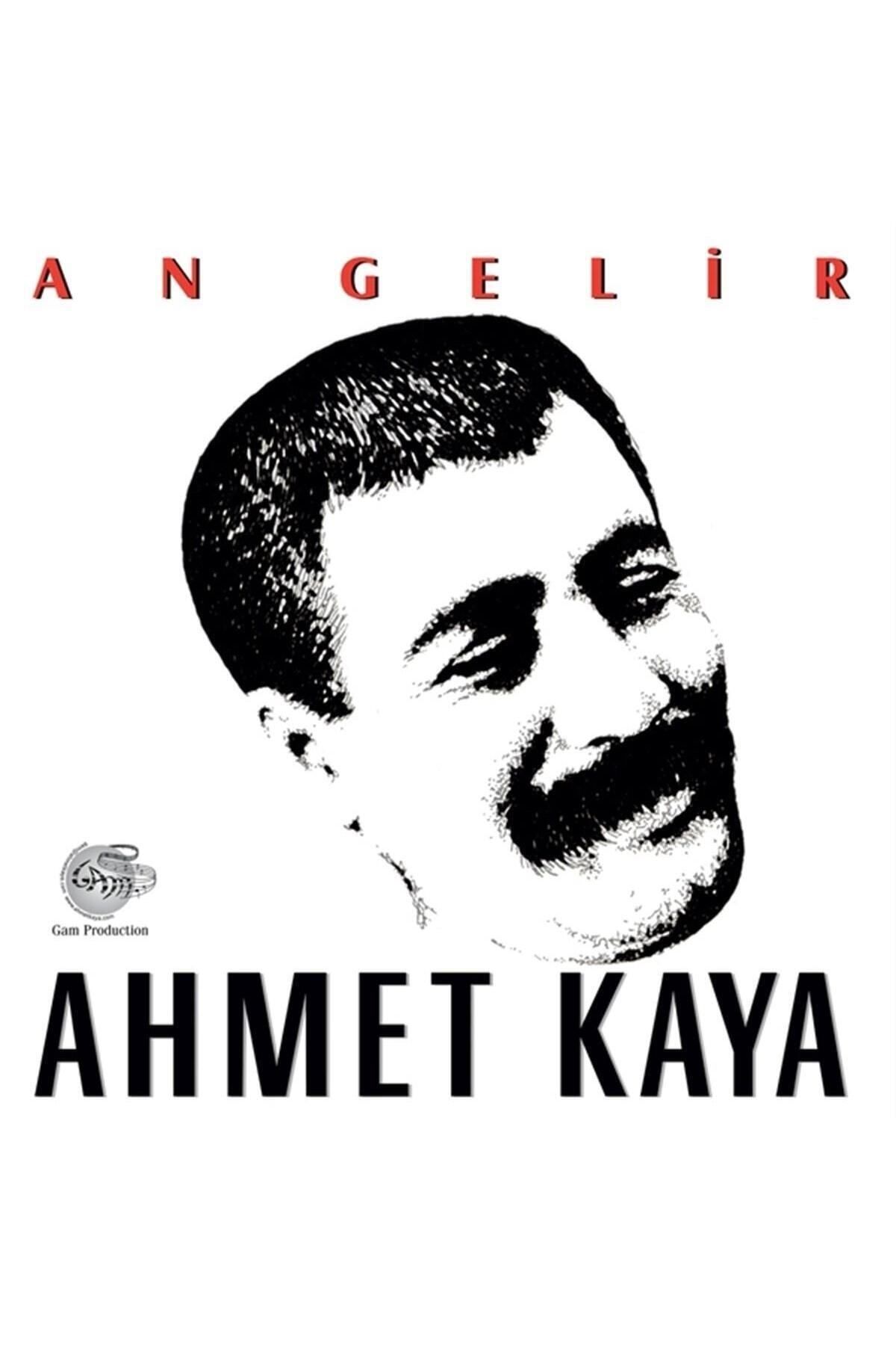 GAM Ahmet Kaya - An Gelir (Plak)