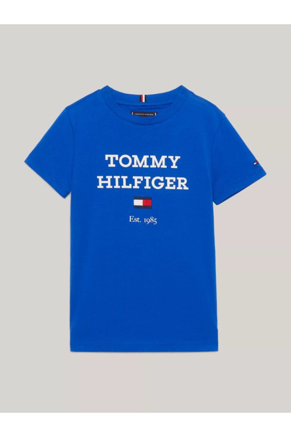 Tommy Hilfiger T-SHIRT Fiyatı, Yorumları - Trendyol