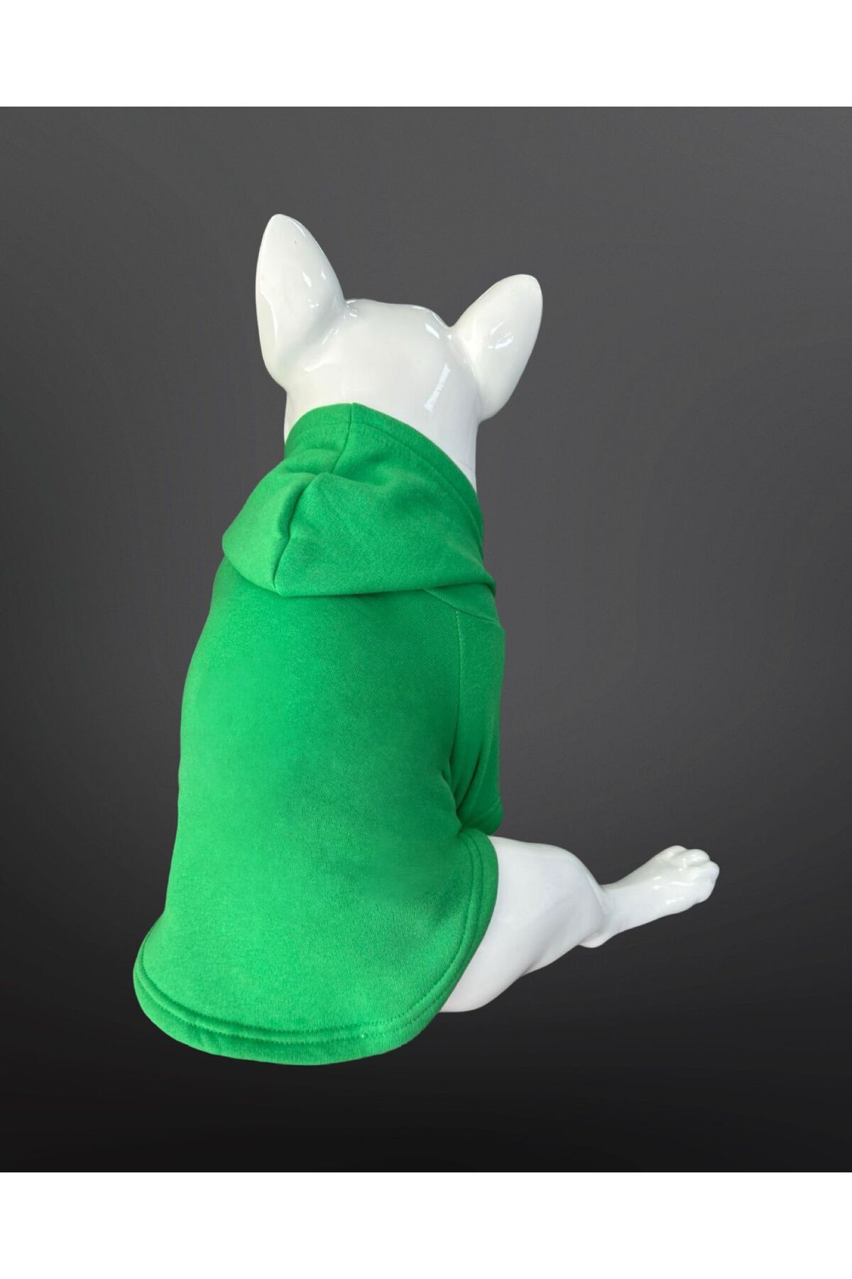 Buddy Store Kedi & Köpek Kıyafeti Sweatshirt - Baskısız Yeşil Sweatshirt
