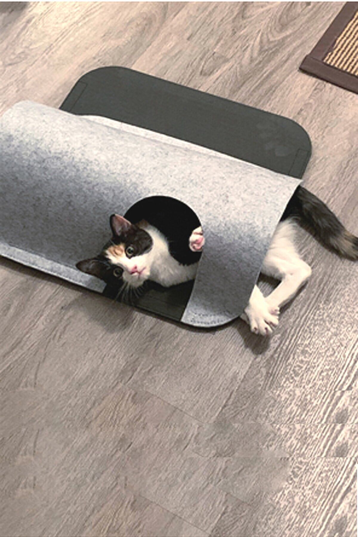 Bundera Lizzo Kedi Tüneli Evcil Hayvan Oyuncağı Yavru Yetişkin Kedi Yuvası Yatağı Tünel Evi