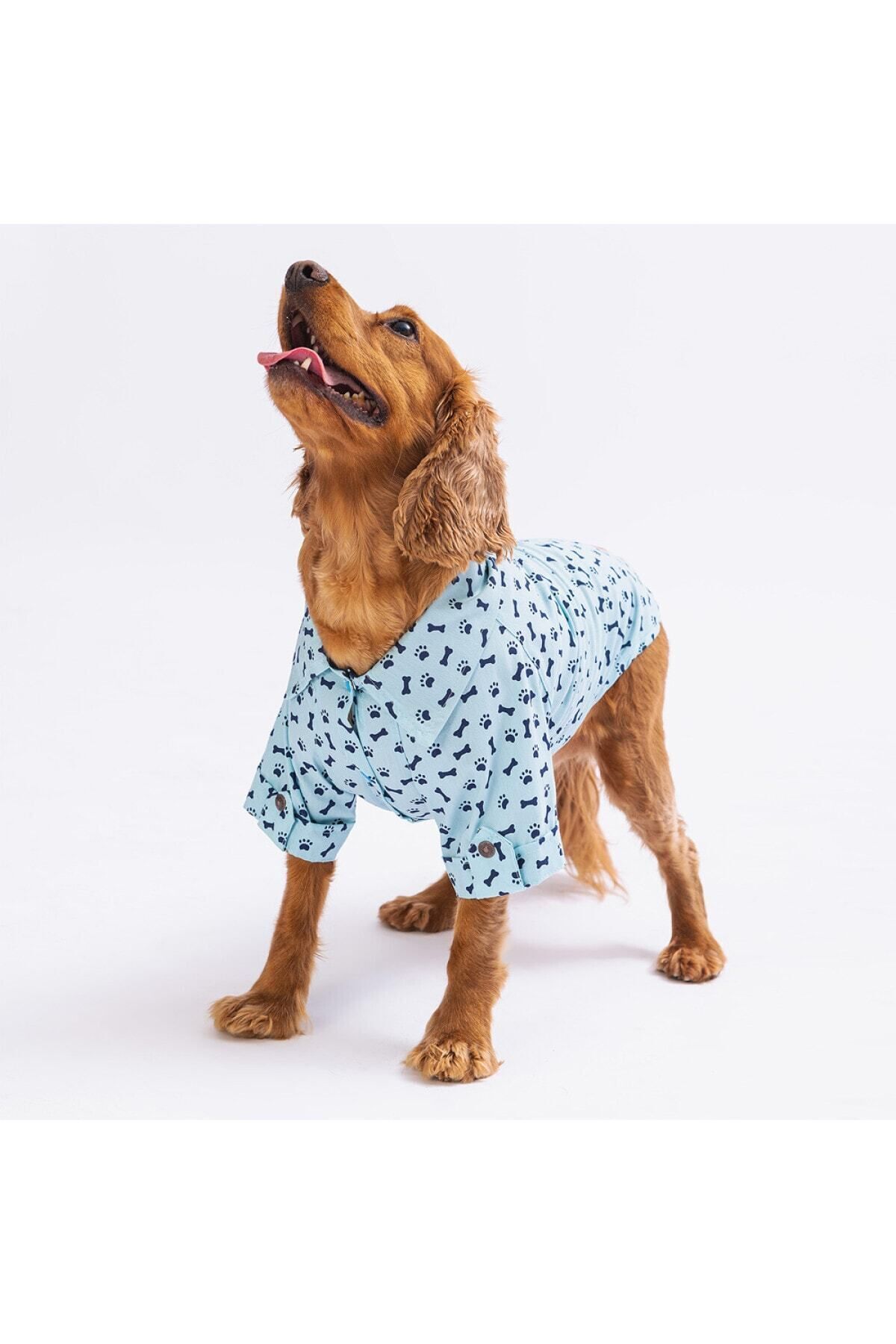 Pawstar Mavi Ossa Kedi Köpek Gömleği - Kedi Köpek Kıyafeti