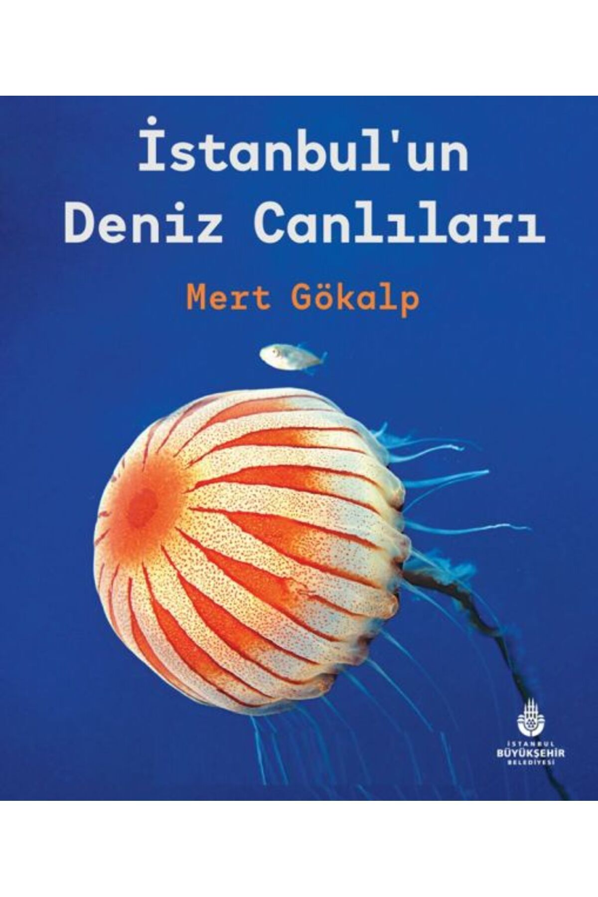 Fom Kitap Yayınları İstanbulun Deniz Canlıları