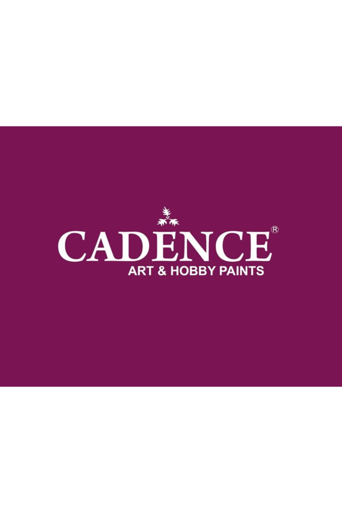 Cadence Hybrid Multisurface 120ml 10'lu Set(5) Letoonset