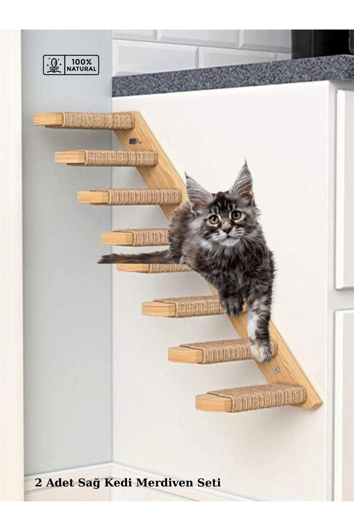 BUSHOP Doğal Kedi Tırmanma ve Tırmalama Merdiveni Ahşap tasarım Duvara Monte 2Lİ Sağ Model