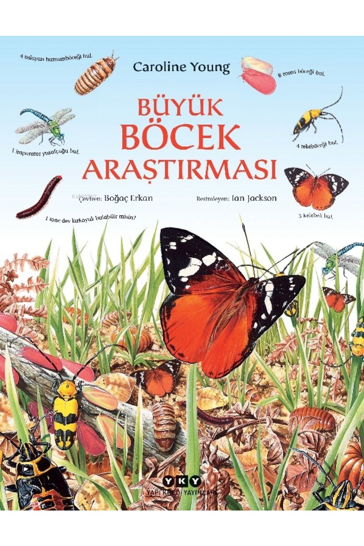 Yapı Kredi Yayınları Büyük Böcek Araştırması