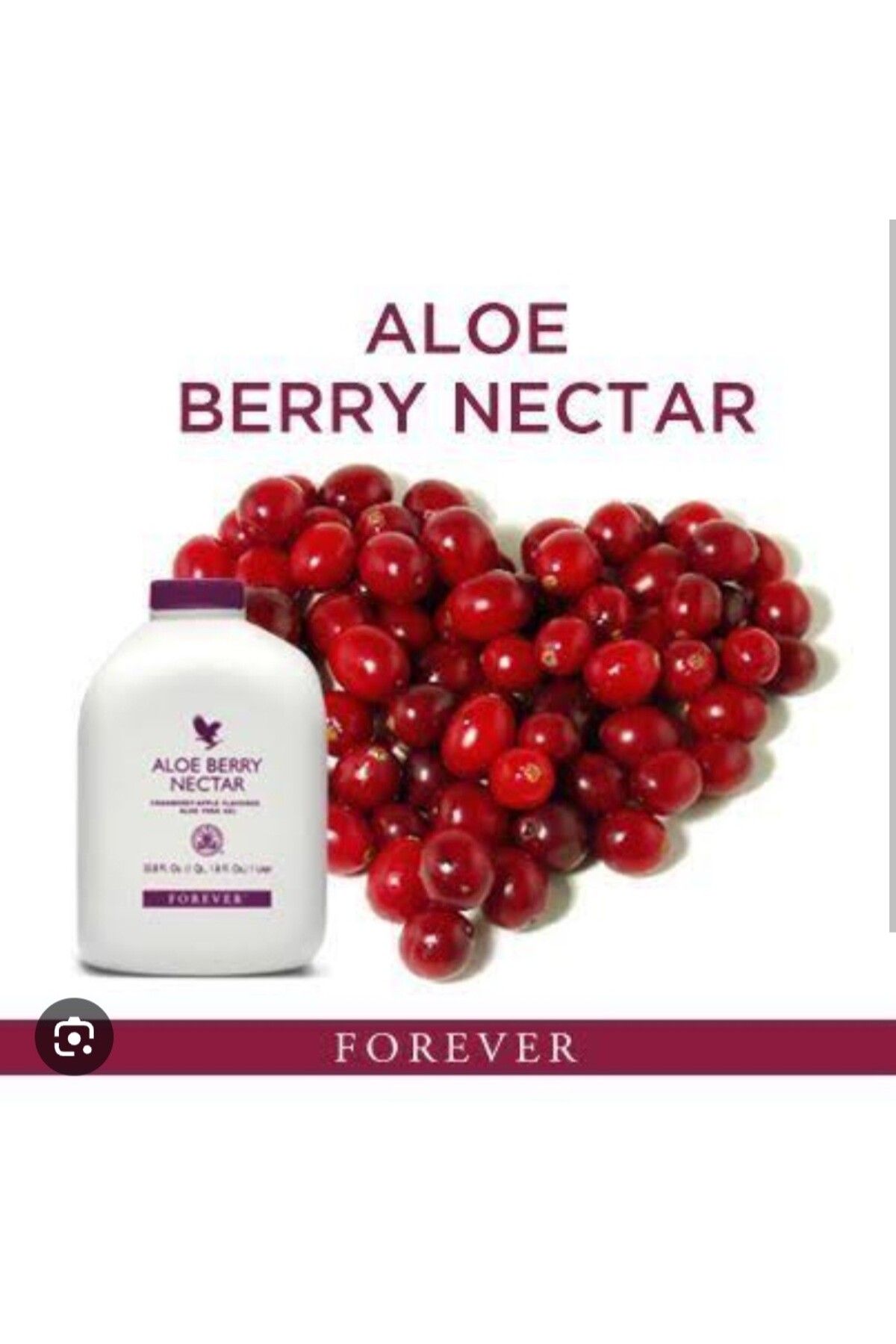 Forever Aloe Berry Nectar -034
