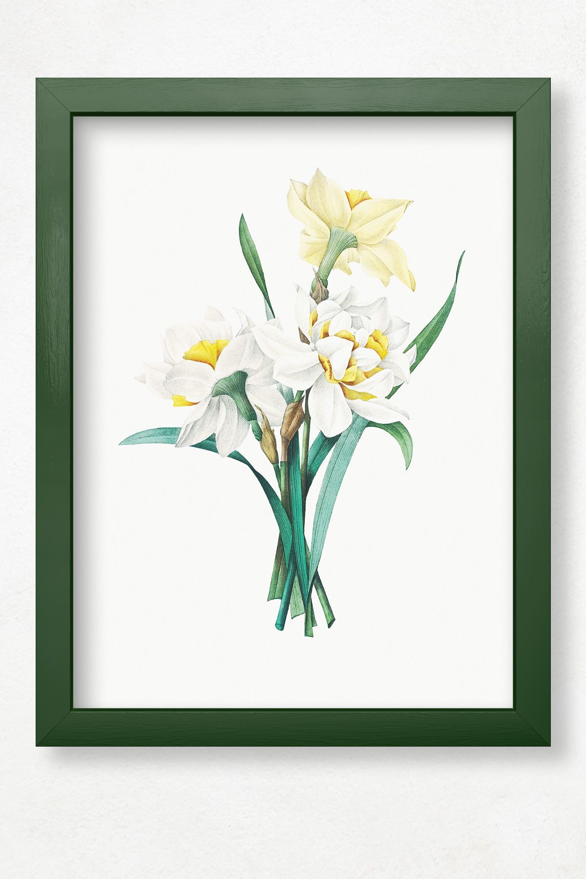 DuoArt Double Daffodil/Floral/Doğal Ahşap Çerçeveli Poster/Çerçeve Rengi:Koyu Yeşil