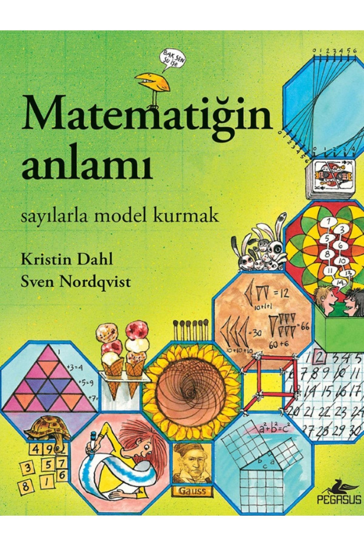 Pegasus Yayınları Matematiğin Anlamı: Sayılarla Model Kurmak - Kristin Dahl