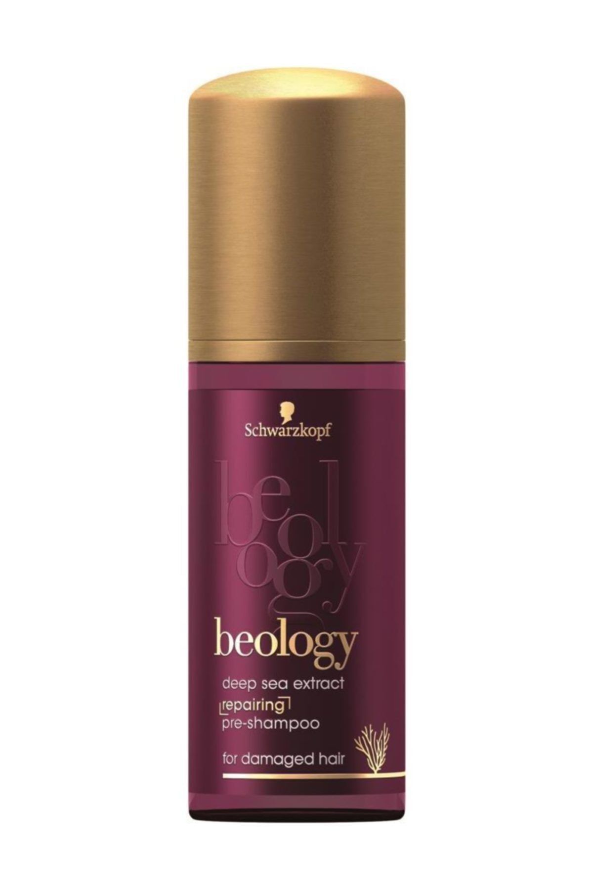 Beology İlk Adım Şampuanı Onarıcı Seri 50 ml 3178041329071