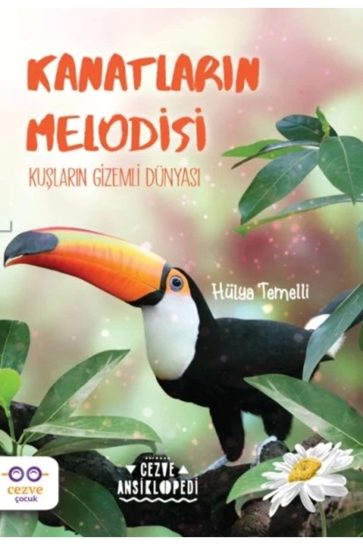 Cezve Çocuk Kanatların Melodisi - Kuşların Gizemli Dünyası