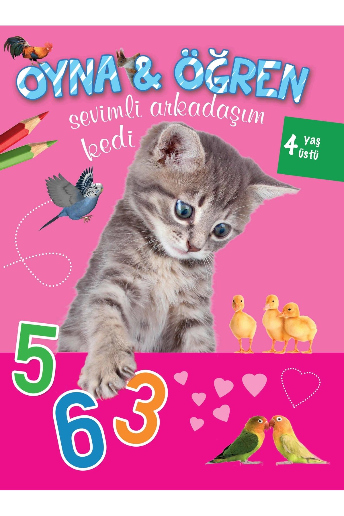 Parıltı Yayınları Oyna Öğren Sevimli Arkadaşım Kedi 4 Yaş Üstü