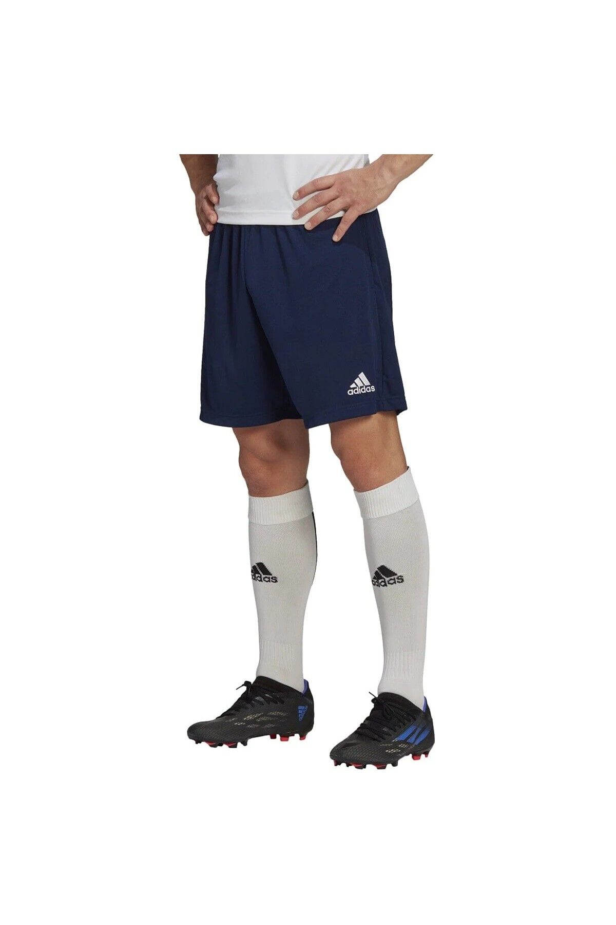 adidas H57488 Ent22 Tr Erkek Şort