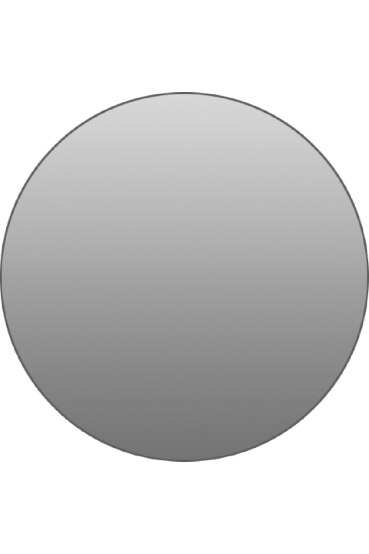 Pure Concept Pure Ayışığı Dekoratif Oval Led Aydınlatmalı Ayna 60 Q M-14