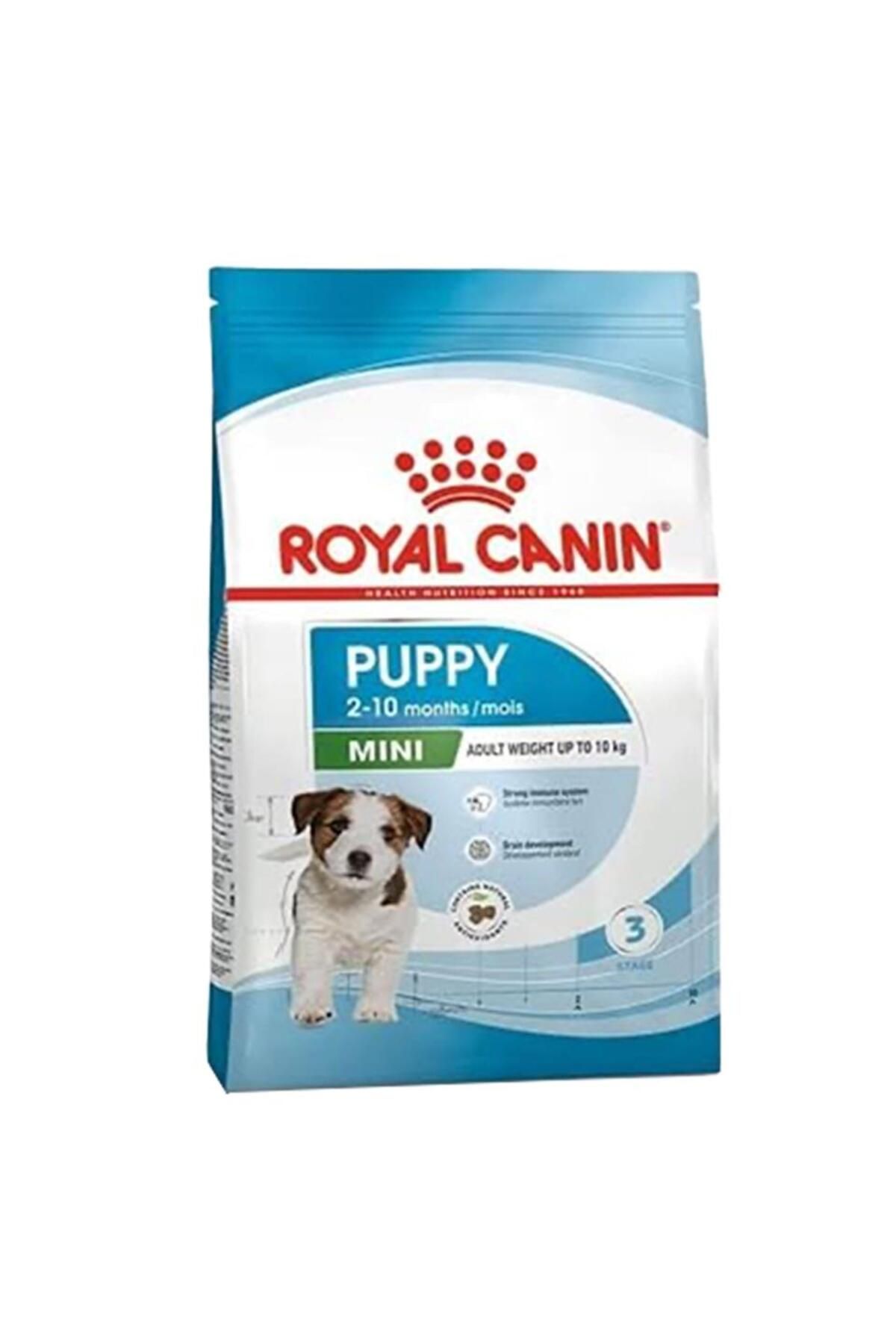 Royal Canin Dog Shn Mini Puppy Köpek Maması 2 Kg