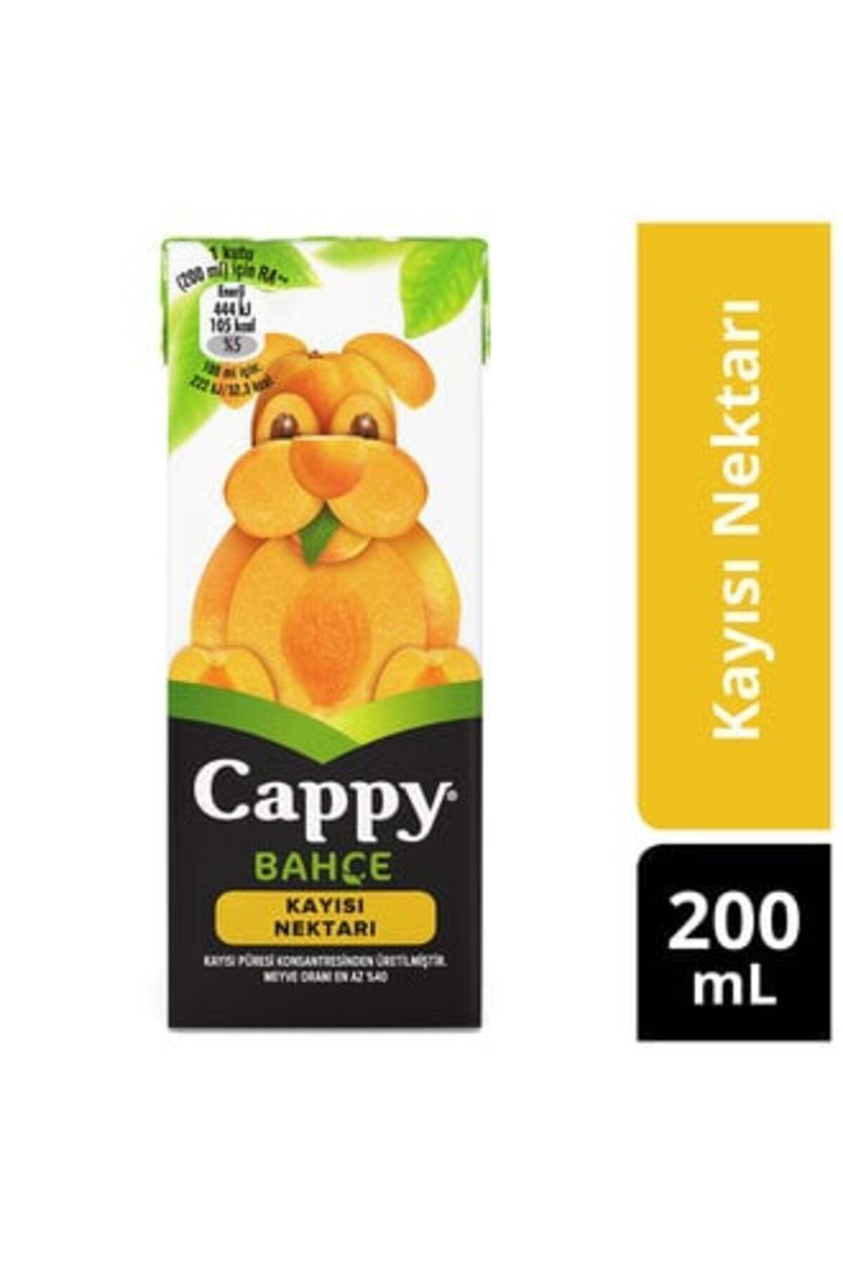 Cappy Bahçe Kayısılı Meyve Suyu Karton Kutu 200 Ml ( 12 ADET )