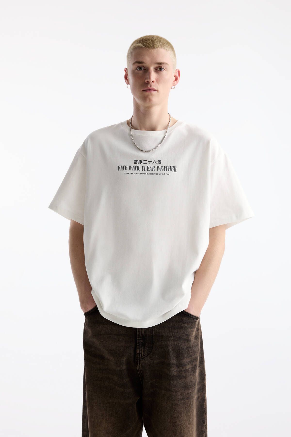 Pull & Bear Kısa kollu Mount Fuji t-shirt