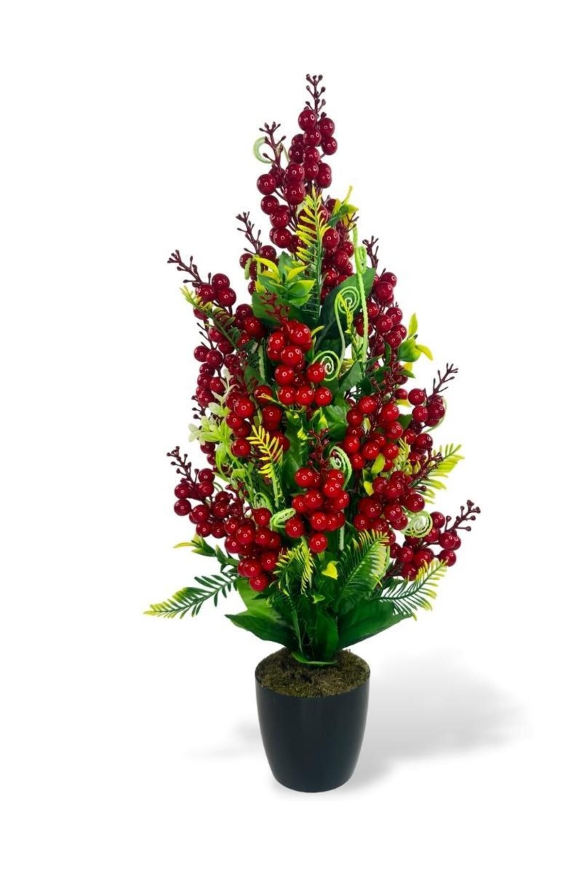 Nettenevime Yılbaşı Ağacı Kokina Siyah Saksıda 55cm Yapay Kokina Çiçeği