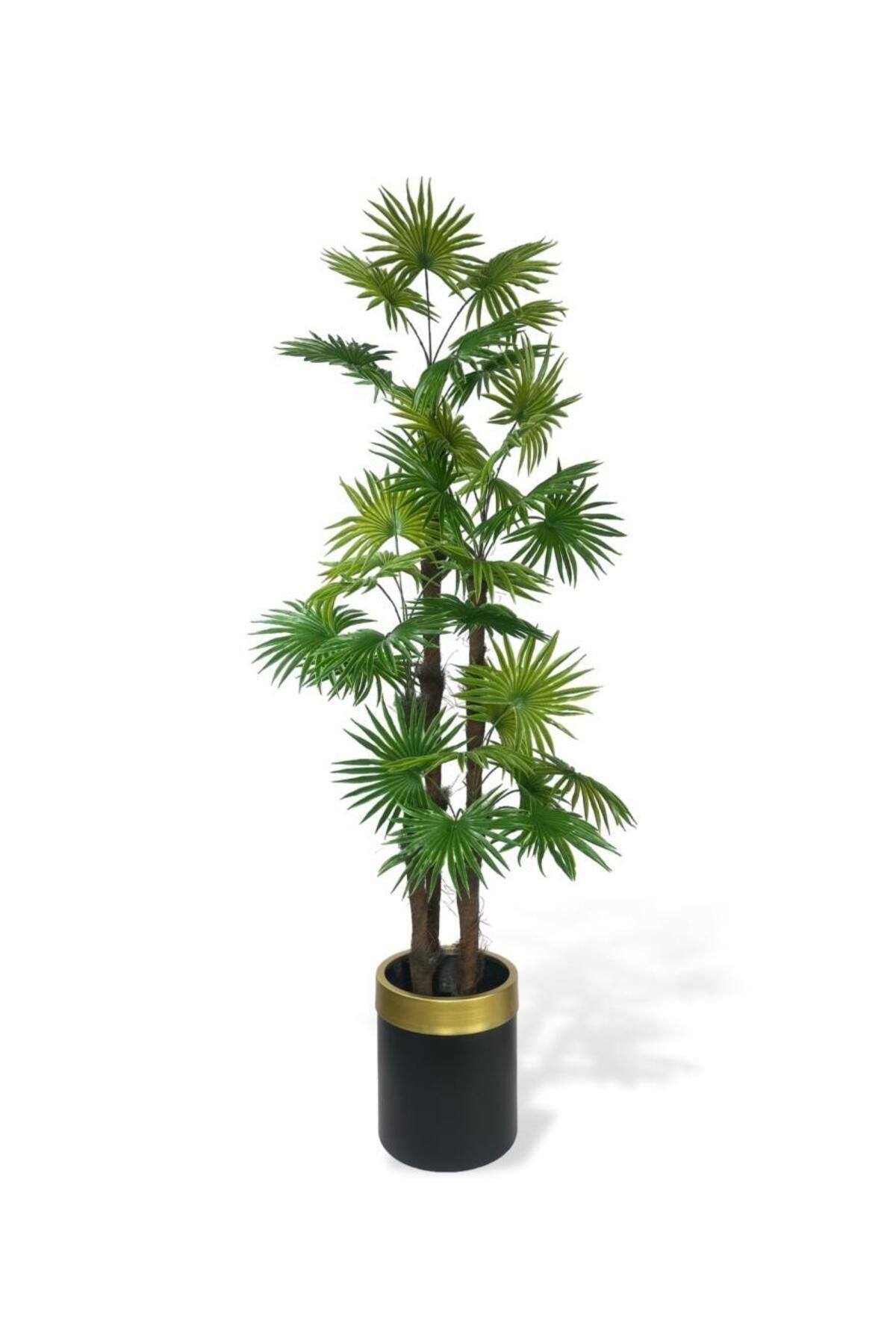 Nettenevime Yapay Ağaç Yelpaze Palmiye 4Katlı Fanpalm 32 Yaprak Altın Kemerli Siyah Saksıda 170*65cm