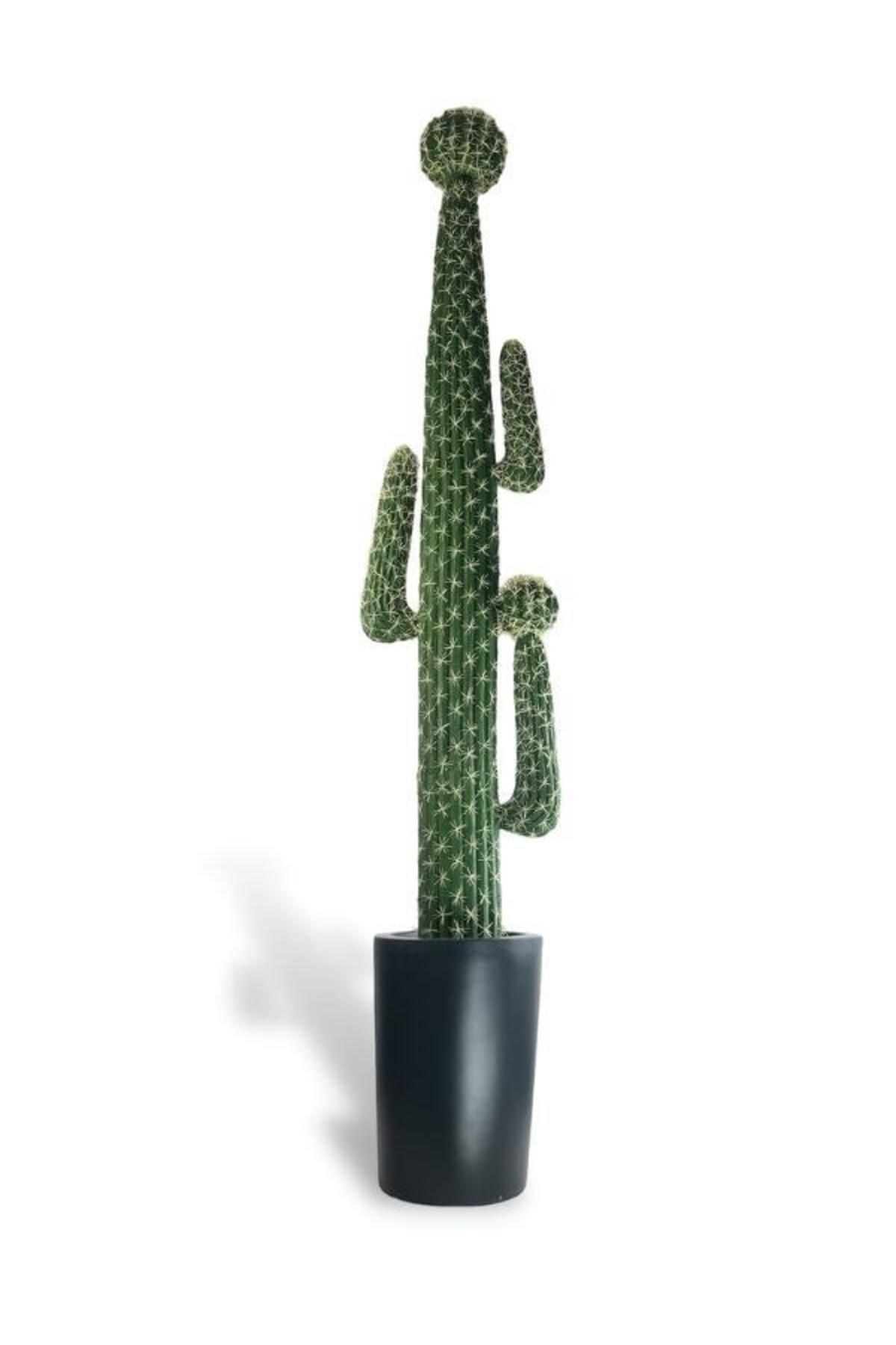 Nettenevime Yapay Çiçek Dev Kaktüs Ağacı 210cm Siyah Saksıda 4kollu Cactus Tree Plants